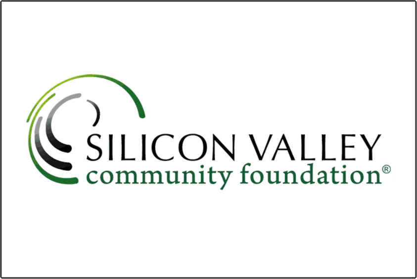 Silicon