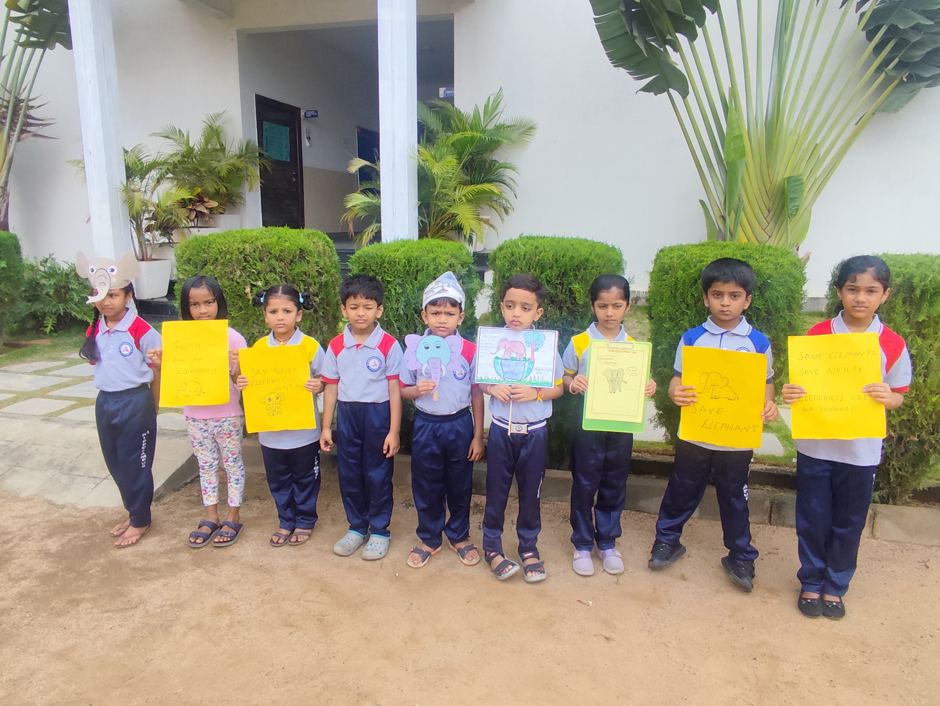 Hippocampus School - Image 6
