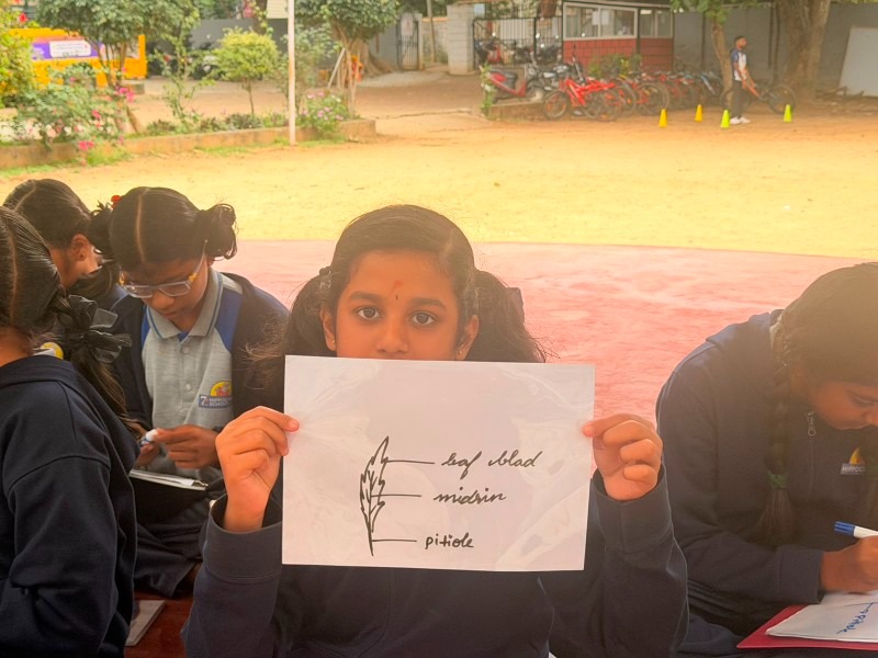 Malnad International Hippocampus School - Image 6